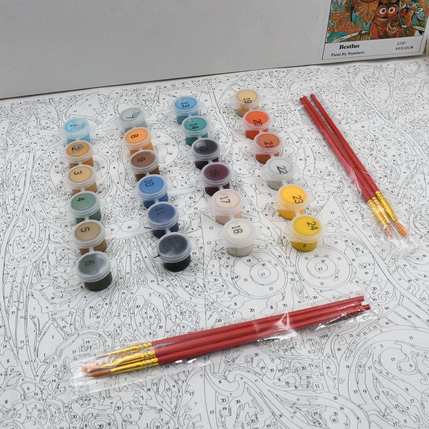 DIY paint-by-numbers kit for adults, canvas with 24 colors and paintbrushes. DIY paint-by-numbers kit for adults, canvas with 24 colors and paintbrushes.